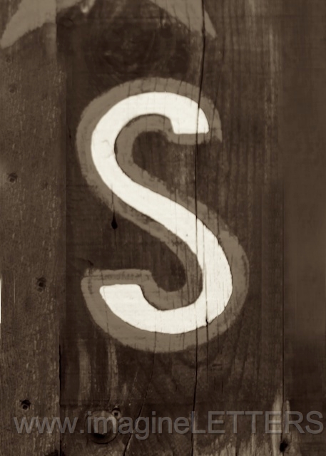 Wall_Art_Alphabet_Photography_Art_ 2002.jpg